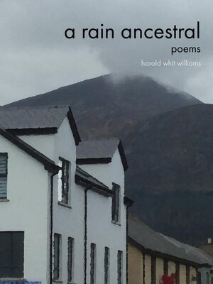 cover image of A Rain Ancestral